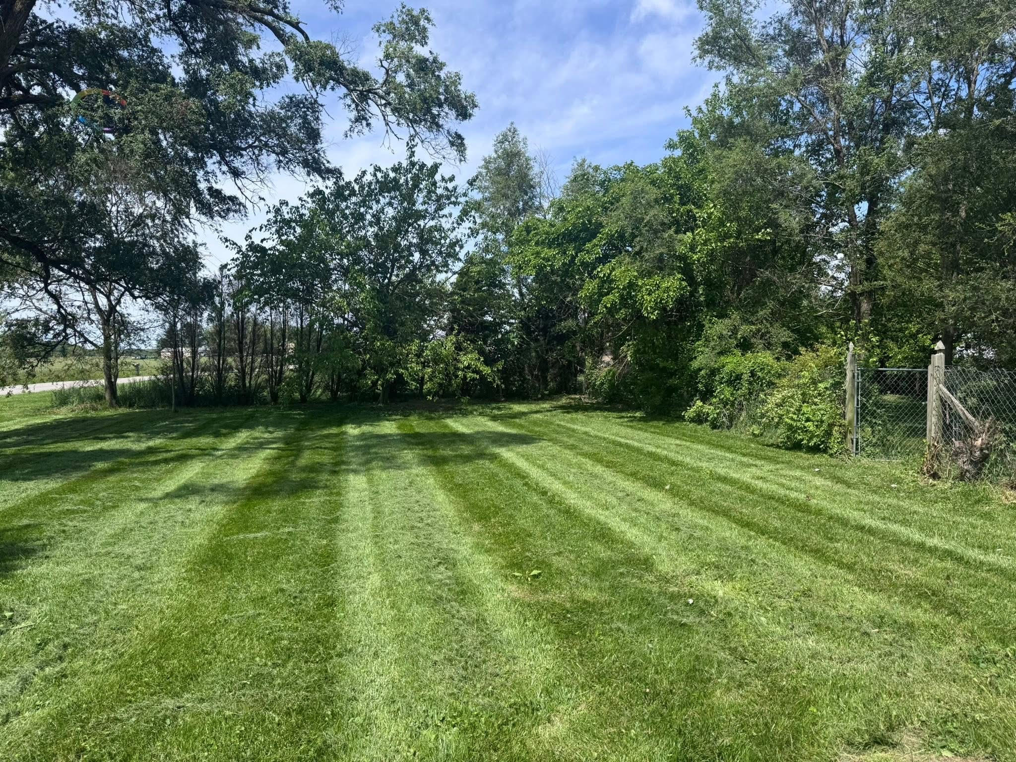Yard cleanup and maintenance